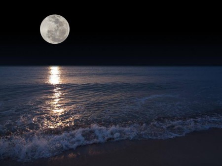 luna teresa.jpg